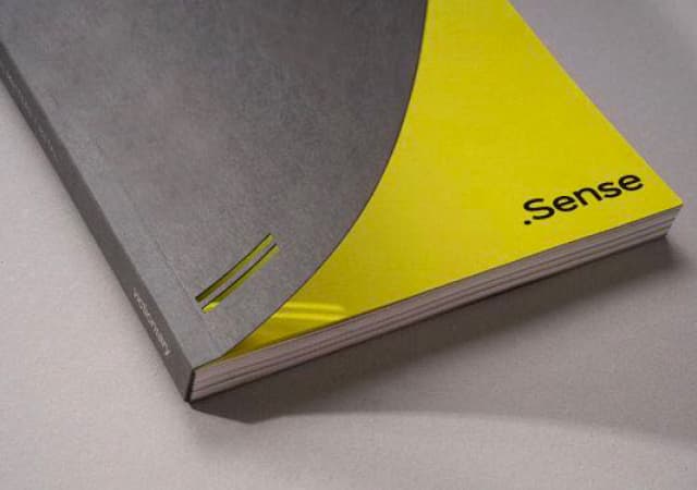 sense-11
